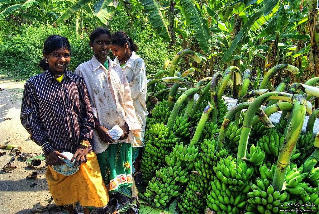 Sber bananu v Indii