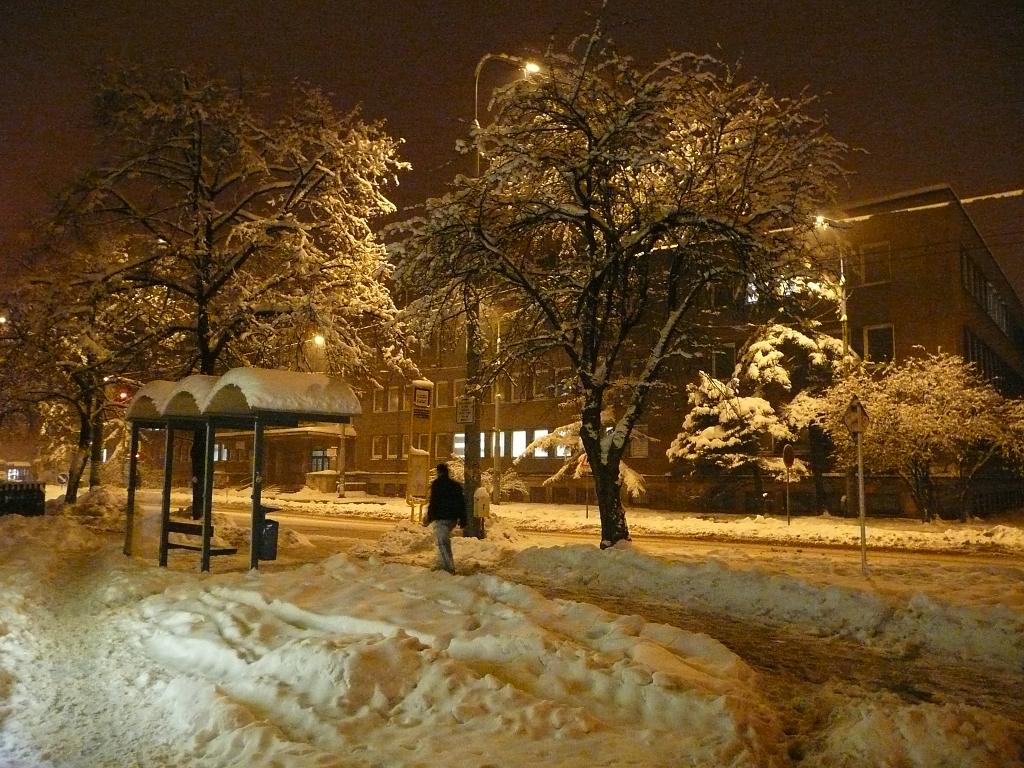 Zima v Ostravě - 1