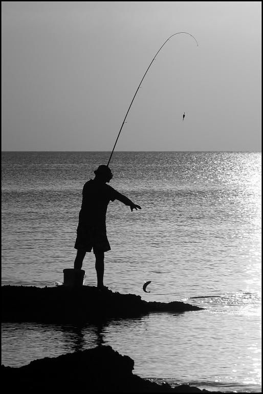 rybář V