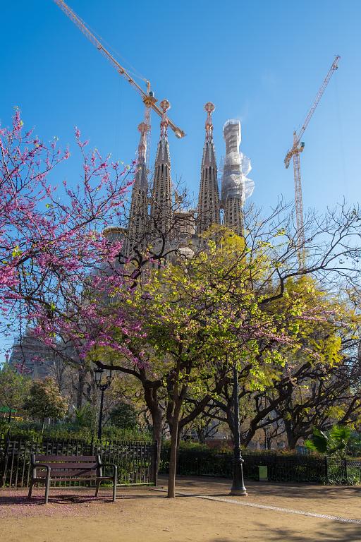 Jaro v Barceloně