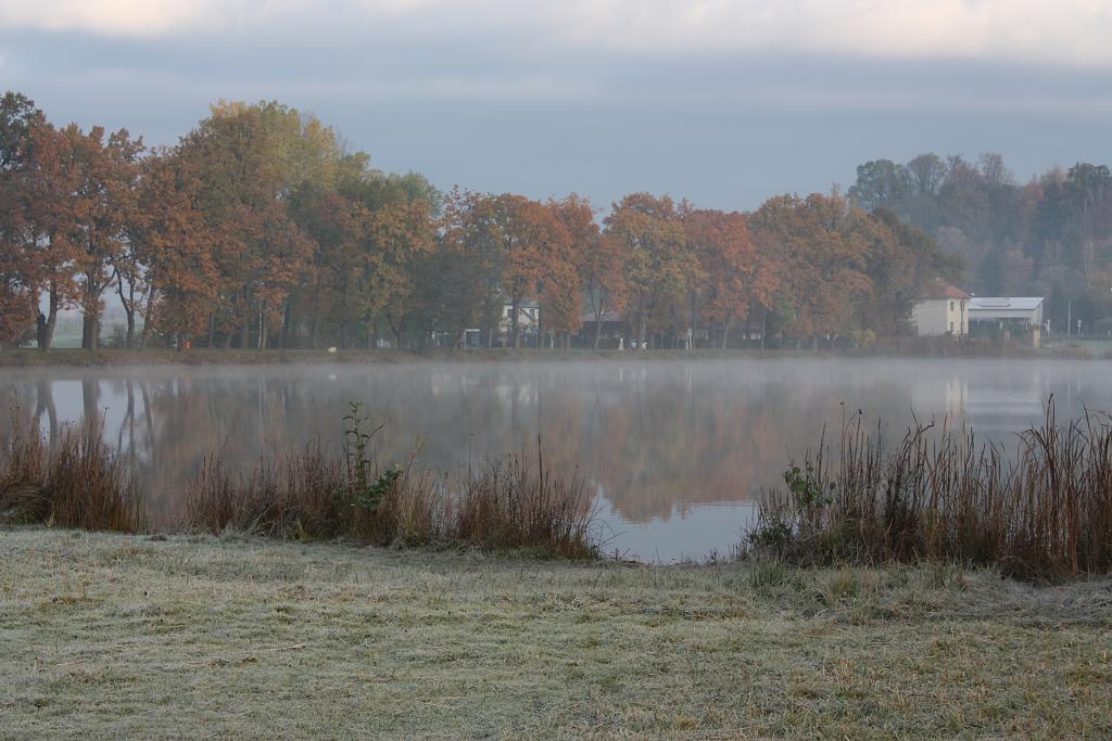 Říjnové ráno nad rybníkem