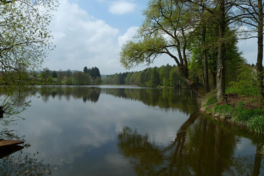 Ředkovský rybník