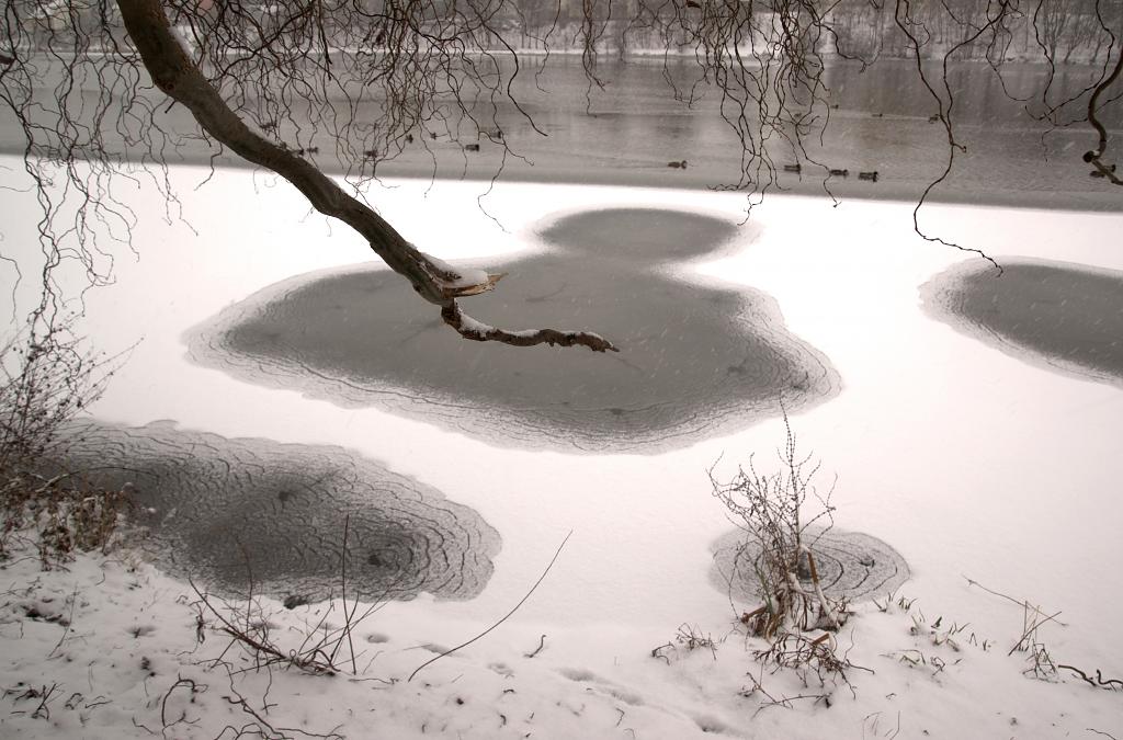 Zima na rybníku