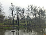 Standardní scéna - rybník (FZ100)