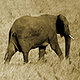 Fotoexpedice Namibie 2007