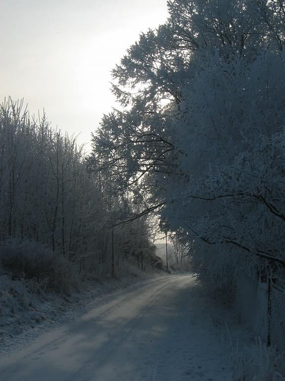 Zimní cesta