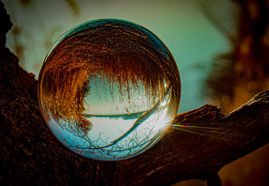 Glass Ball Photography