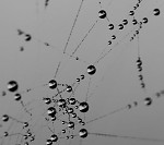 Pavoučí atomium - Komentáře: 25