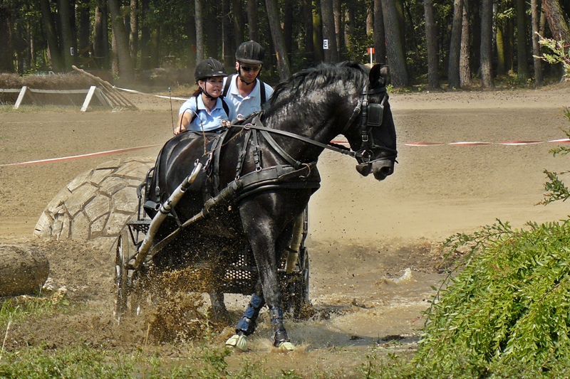 Závody spřežení Pardubice 2010