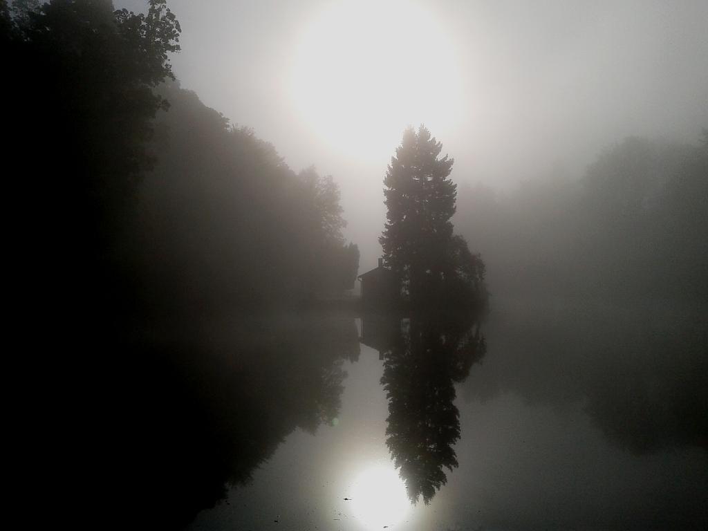 Svítání nad zámeckým rybníkem