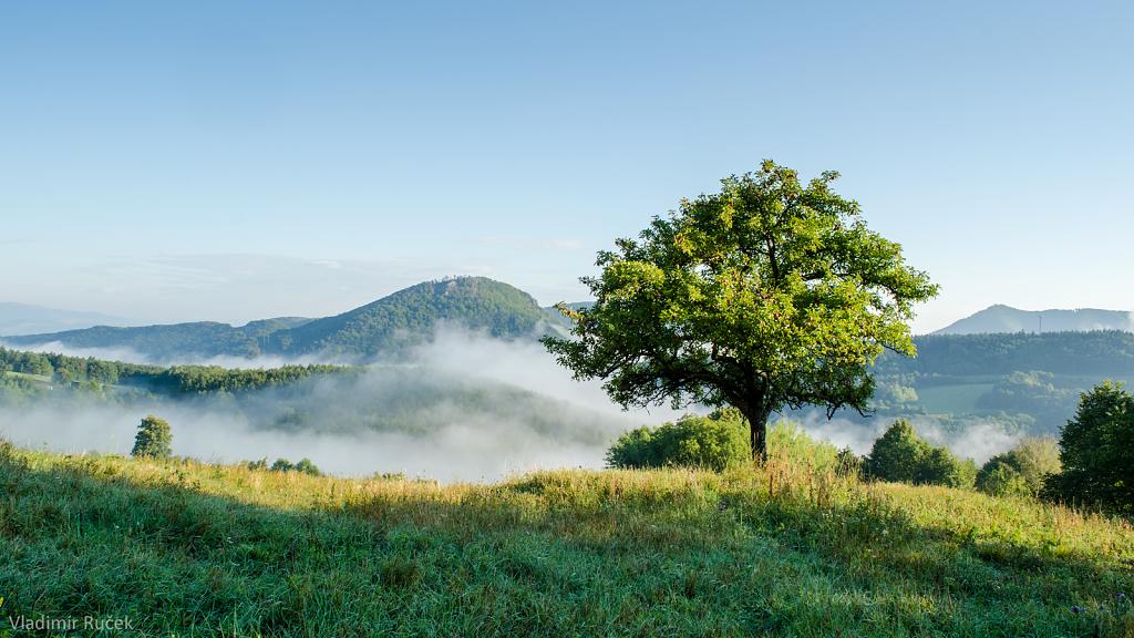 Samotár nad Porubskom