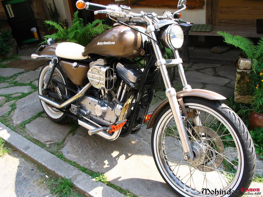 Krásný Harley Davidson