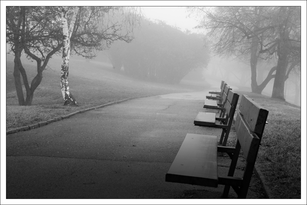 ráno v parku