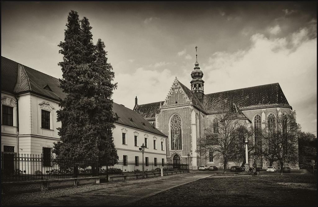Bazilika Nanebevzetí Panny Marie na Starém Brně- BW