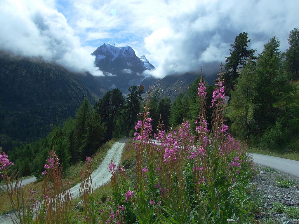 Ve Walliských Alpách