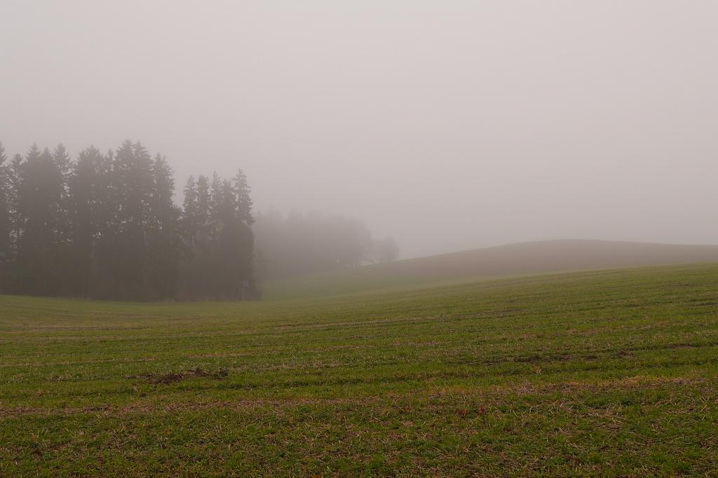Mlhavý den