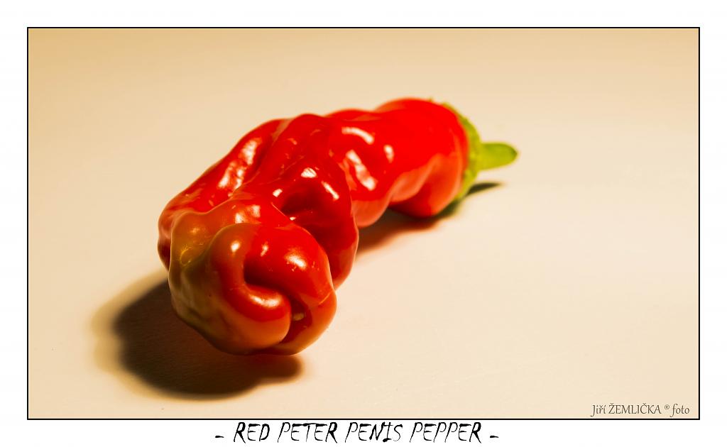 Red Peter Penis Pepper