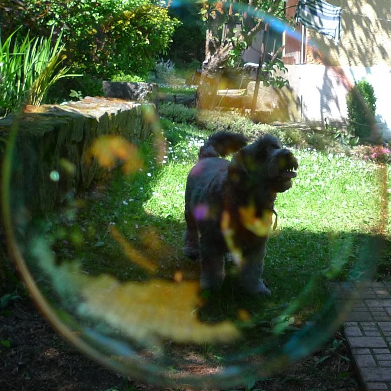 Svět v bublině
