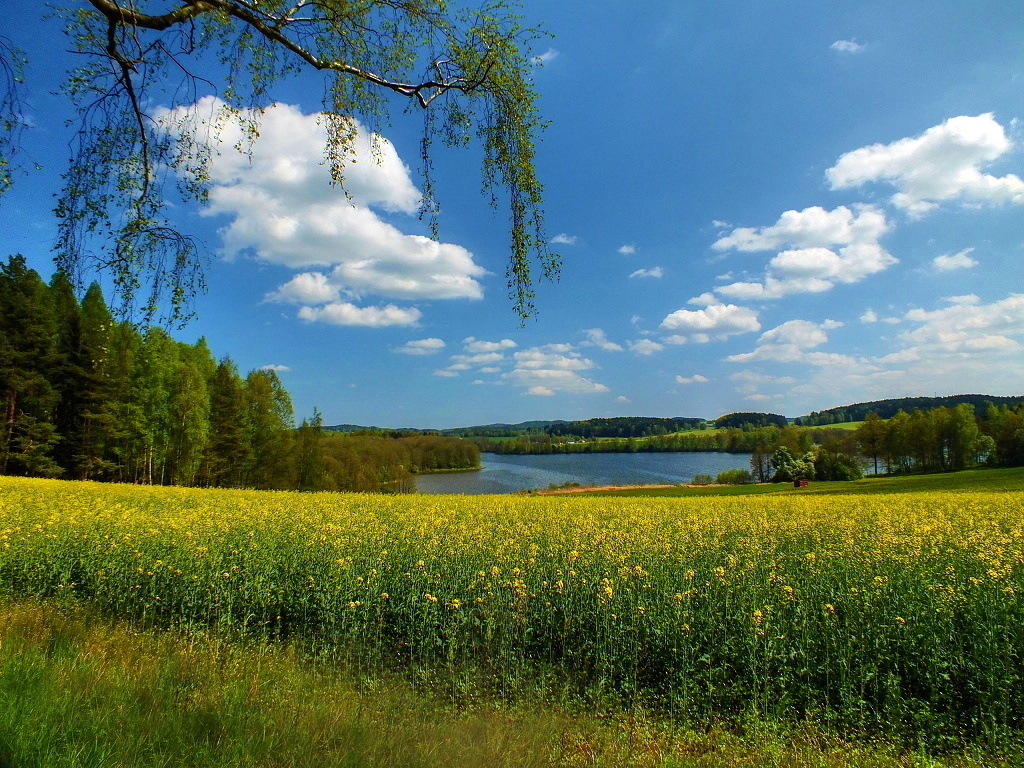 Jarní krajina