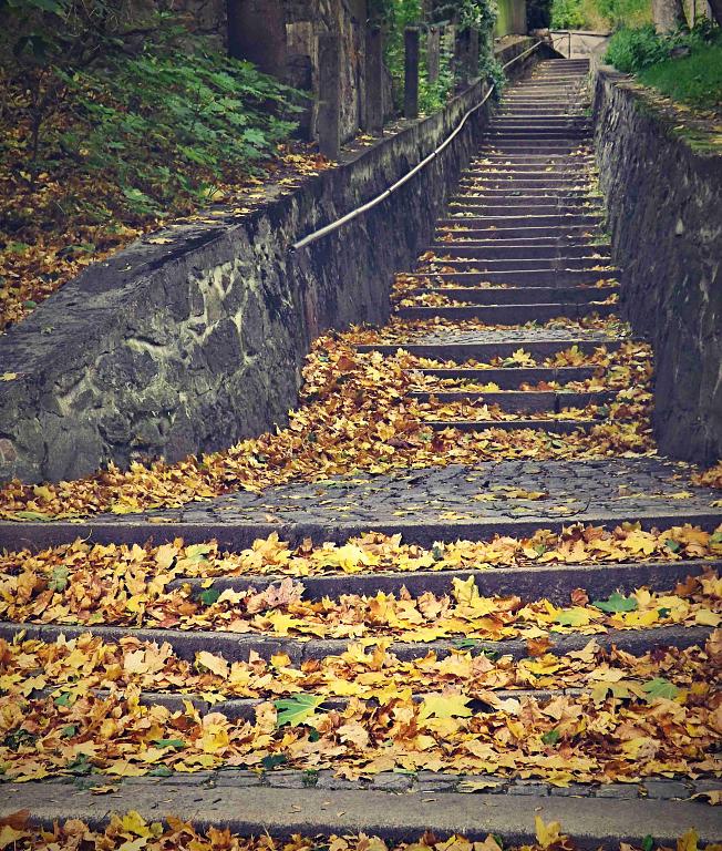 podzimní schody 1