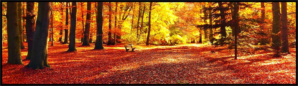 Podzim v Pruhonickem parku.