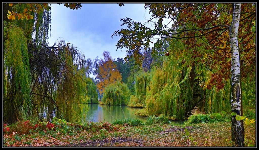 podzim u rybníka