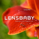 Kniha o Lensbaby: Přispějte i vy svým snímkem!