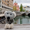 Koala cestuje: Slovinsko 1. díl (Maribor a Lublaň)
