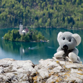 Koala cestuje: Slovinsko 2. díl (Bledské a Bohinjské jezero)