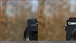 Canon G9 X vs Sony RX100 - bokeh (1)