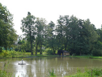 Standardní scéna - rybník