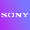 Sony zveřejňuje data o 45MPx a 61MPx full frame čipech