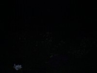 Noční foto s bleskem - ISO 100