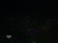 Noční foto s bleskem - ISO 200