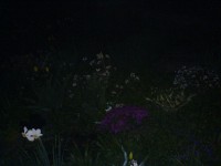 Noční foto s bleskem - ISO 400